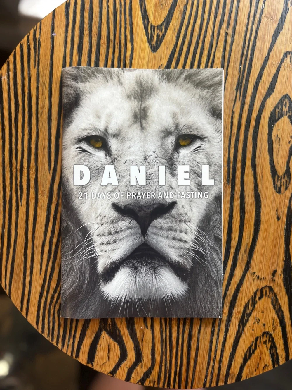 Daniel Lion Wall Art - Black & White Lion Portrait